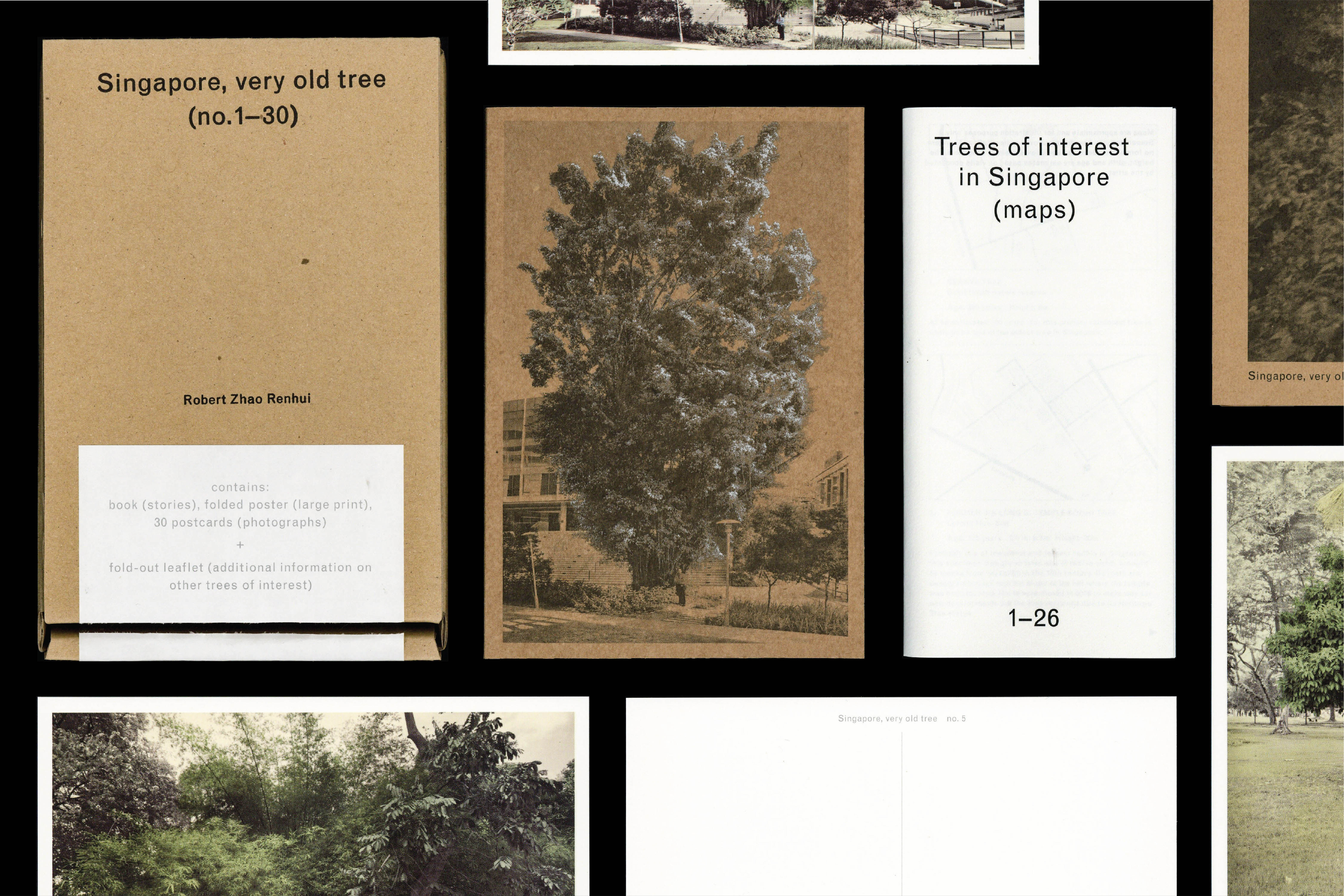 949 Singpore Very Old Tree (project publication), for Robert Zhao Renhui